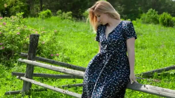 Mutlu genç kadının kırsal doğa güzel yeşil çim üzerinde ahşap çit oturan güneş — Stok video