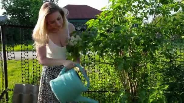 Jovem mulher regando um jardim de verão. Trios verdes na aldeia, cuidado com a natureza — Vídeo de Stock