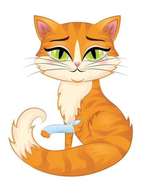 Lindo gato pelirrojo con ojos verdes aislados en blanco . — Vector de stock