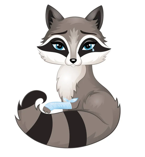 Poor racoon is injured. It is crying and showing injured paw. — Stock Vector