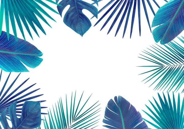 Rahmen mit blauen tropischen Blättern. Isoliert auf Weiß. — Stockfoto