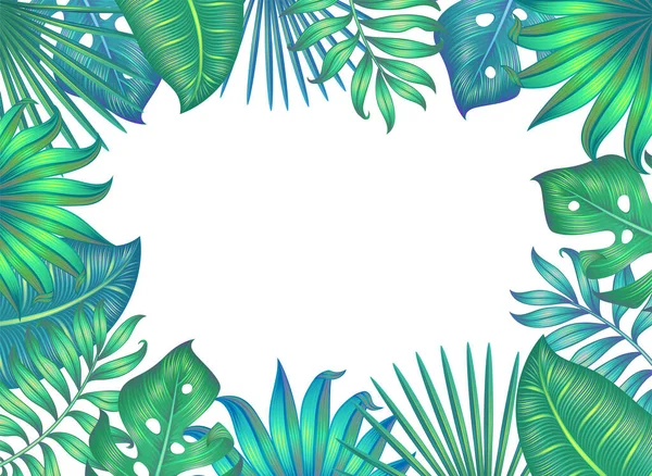 Frame met verschillende tropische bladeren geïsoleerd op wit. Vectorillustratie. — Stockvector
