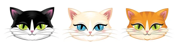 Cabezas lindas de diferentes gatos aislados en blanco . — Vector de stock