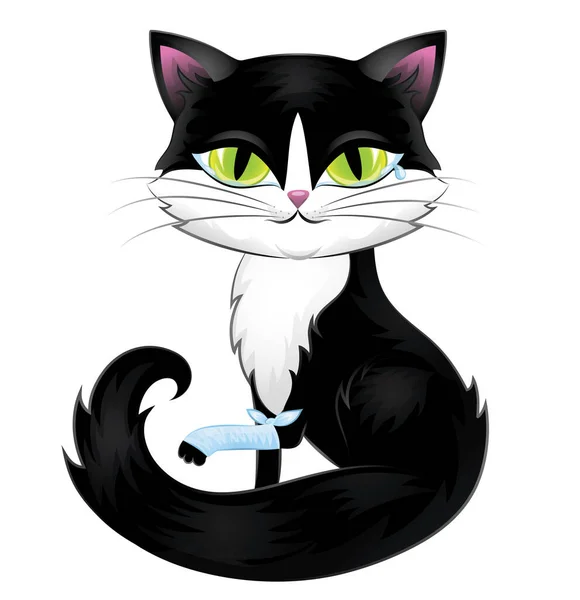 Niedliche schwarze Katze mit grünen Augen isoliert auf weiß. — Stockvektor