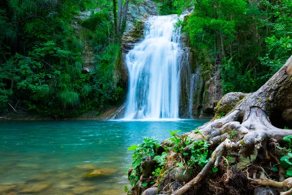 Une grande cascade magnifique dans une forêt avec de l'eau bleue et un arbre. — Photo
