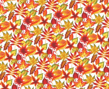 Yapraklı kusursuz sonbahar deseni. Beyazda izole edilmiş.