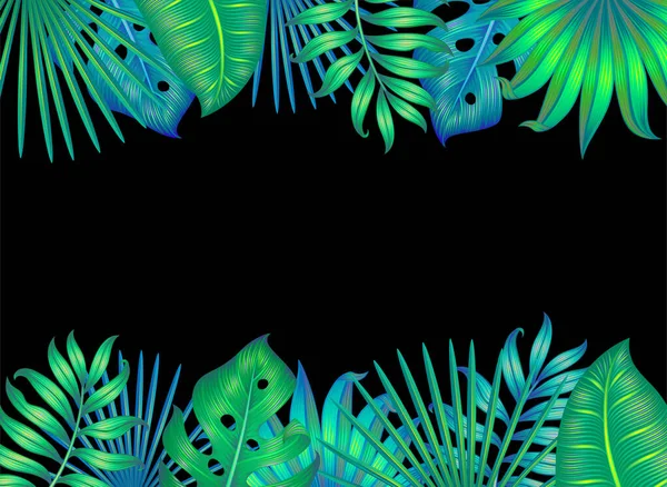 Différentes Feuilles Tropicales Isolées Sur Noir Illustration Vectorielle — Image vectorielle