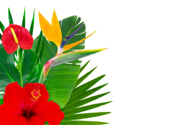 Bouquet with colorful tropical leaves and flowers. — Stock Photo, Image