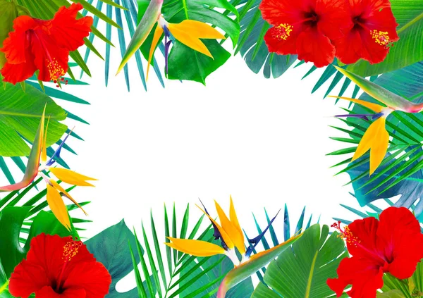 Frame with colorful tropical leaves and flowers. — Stock Photo, Image