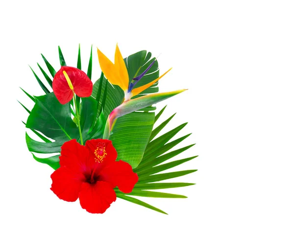Renkli tropik yaprakları ve çiçekleri olan bir buket.. — Stok fotoğraf