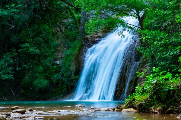 Une grande cascade magnifique dans une forêt avec de l'eau bleue et un arbre. — Photo