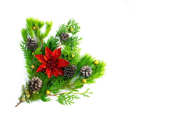 Kerstversiering met rode bloemen en pijnbomen op de witte achtergrond. — Stockfoto