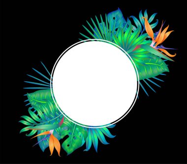 Farklı tropikal yapraklar ve siyah üzerine izole edilmiş beyaz çemberli strelitzia çiçeği..