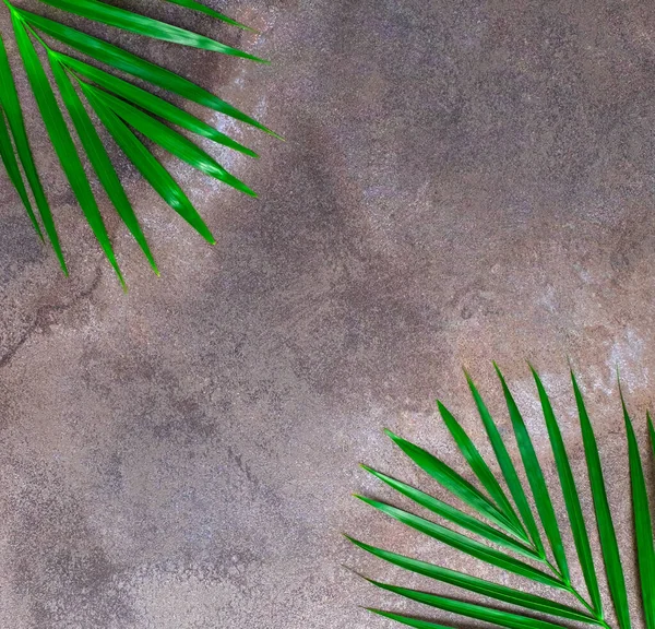 Natuurlijke donkergrijze marmeren textuur achtergrond met tropische bladeren. — Stockfoto