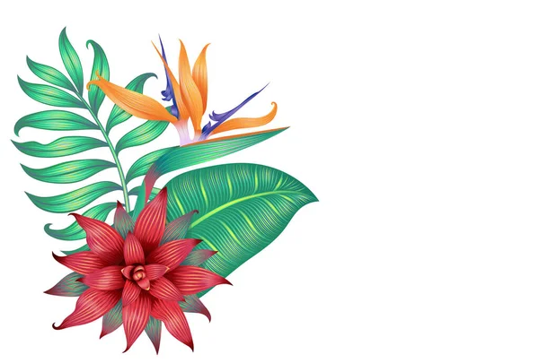 Différentes feuilles tropicales, fleur de strelitzia et une fleur de bromélie isolée sur blanc. — Image vectorielle