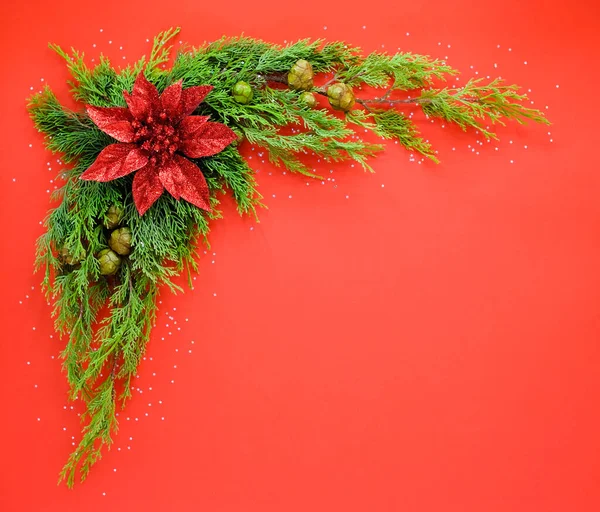 赤い花と赤い背景の松の木のクリスマスフレーム. — ストック写真