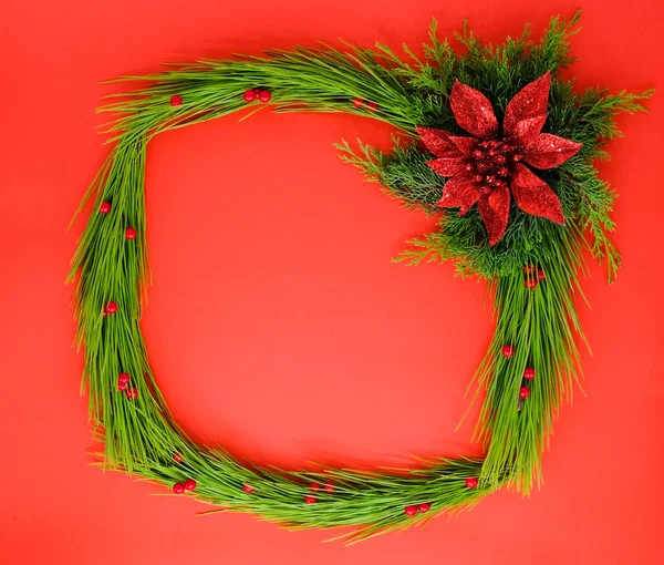 Marco de Navidad con una flor roja y pinos en el fondo rojo. —  Fotos de Stock