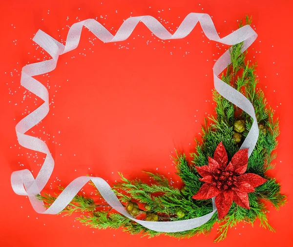 Weihnachtsrahmen mit roter Blume und Kiefern auf rotem Hintergrund. — Stockfoto