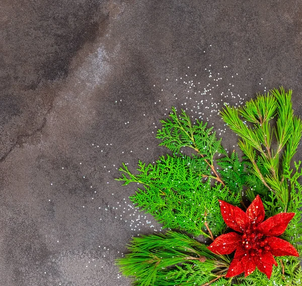 Kerstversiering met rode bloemen en pijnbomen op de achtergrond van marmer. — Stockfoto