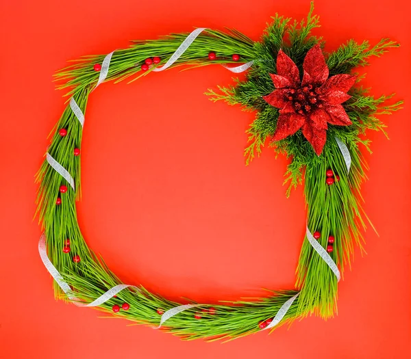 Weihnachtsrahmen mit roter Blume und Kiefern auf rotem Hintergrund. — Stockfoto