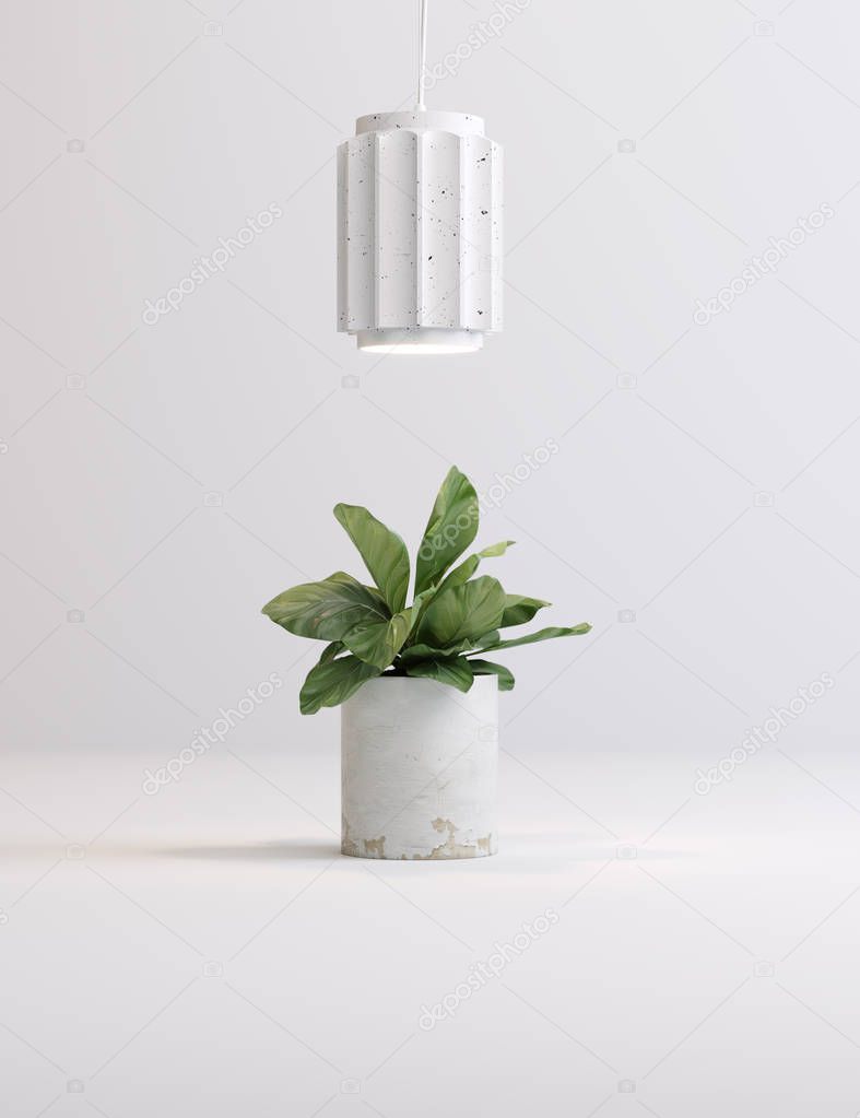 Installation of plants in a vase and lamps