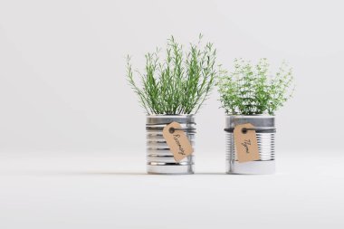 Kompozisyon tencere iki bitkilerden