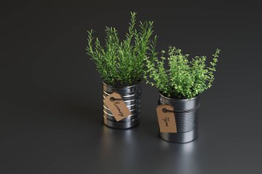 iki bitki vazo içinde dekoratif ayarı