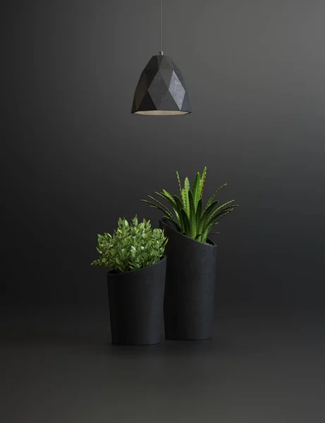 studio shot of lamps and plants in vases on a black background