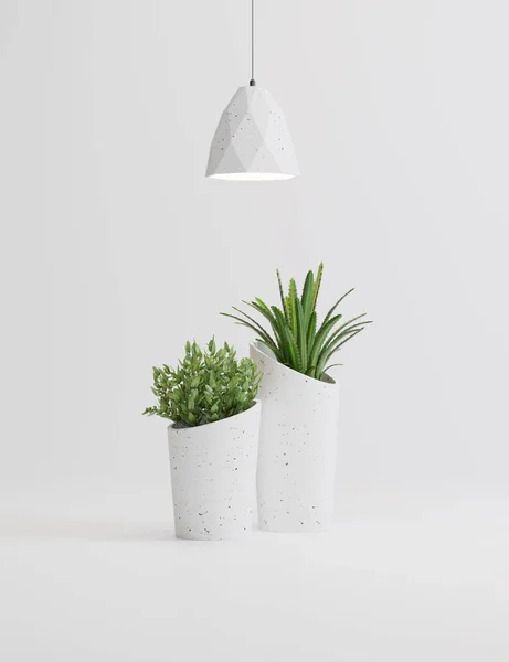studio shot of lamps and plants in vases on white background