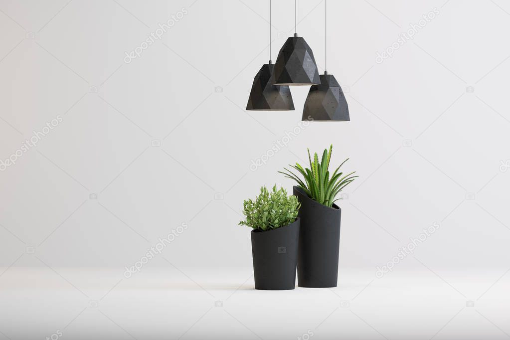 studio shot of lamps and plants in vases on white background