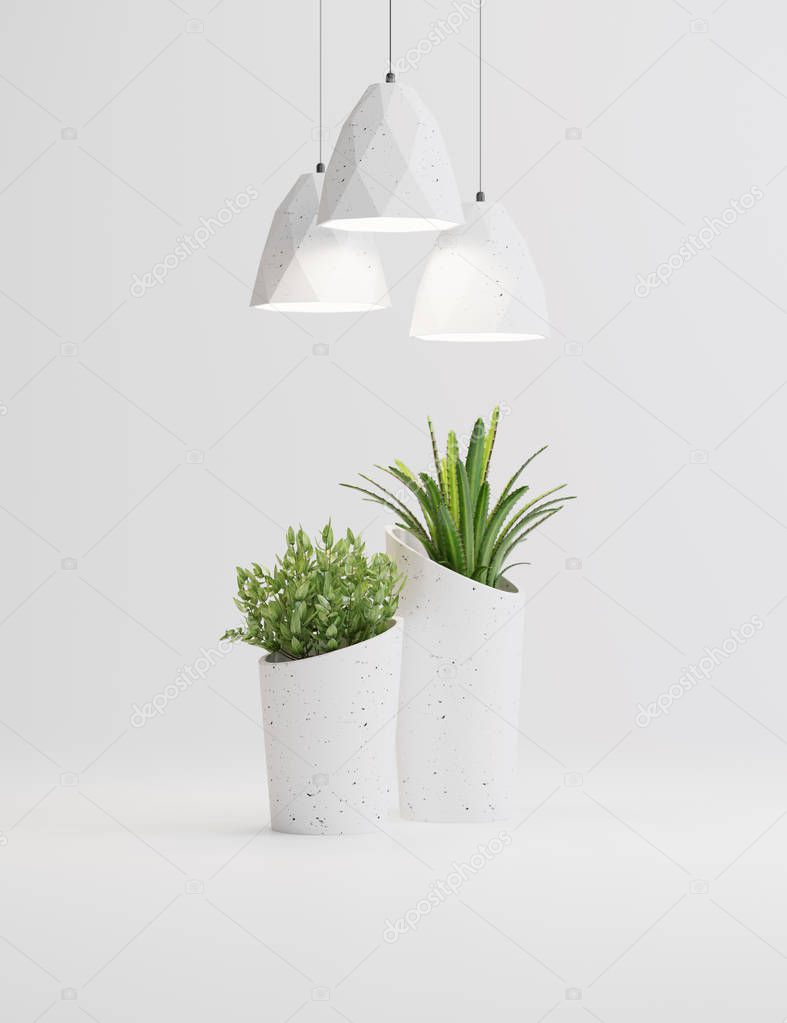 studio shot of lamps and plants in vases on white background