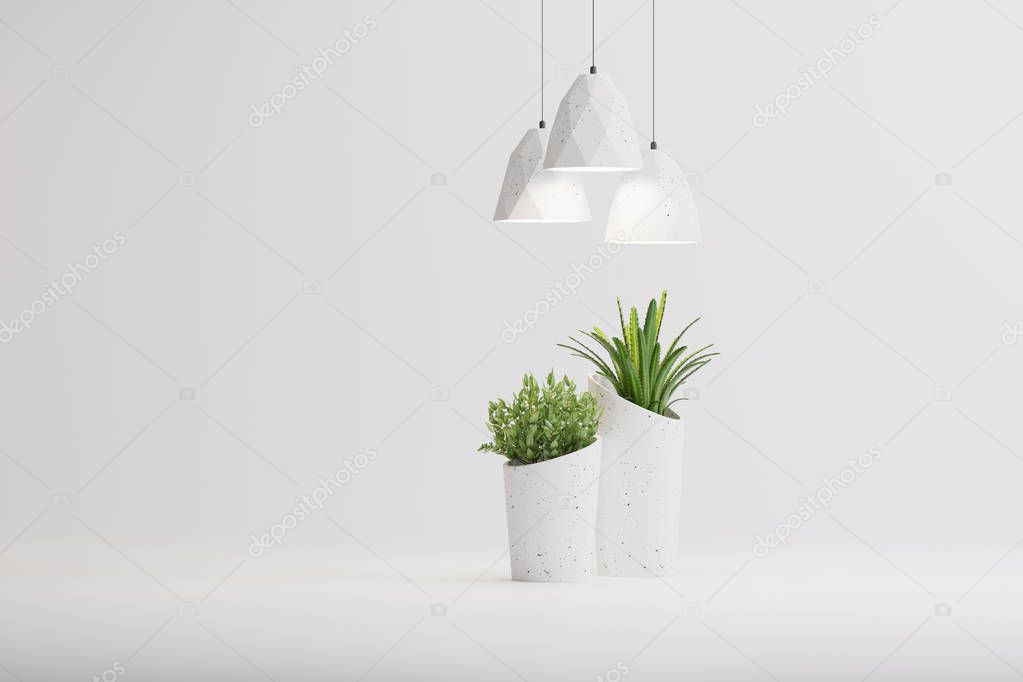 studio shot of lamps and plants in vases on white background