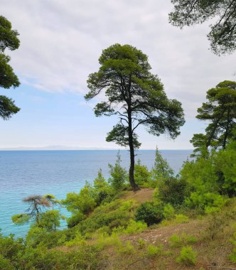 Yaz aylarında Yunanistan'ın güzel kıyılarında