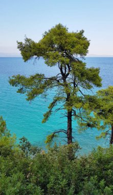 Yaz aylarında Yunanistan'ın güzel kıyılarında