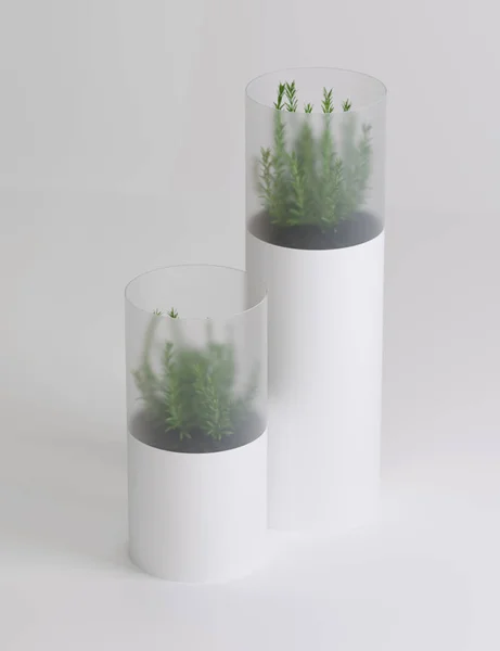 decorative high-tech plant vase on a colored background