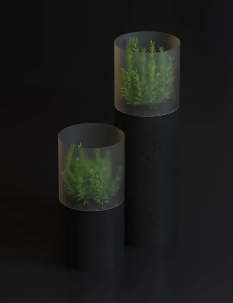 Dekorative High Tech Pflanzenvase Auf Farbigem Hintergrund — Stockfoto