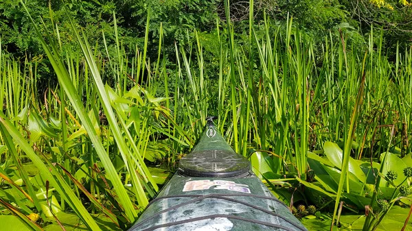 Rafting on a quiet river among lilies in the sun