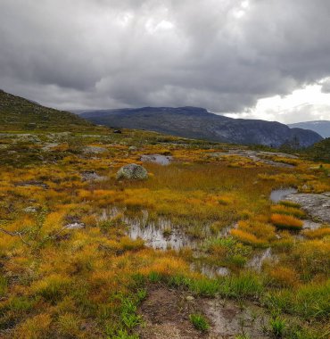 Norveç'in simge yapılarından Troll diline giden yol