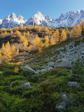 Gün batımında Chamonix-Mont-Blanc köyünde Alpler manzarası