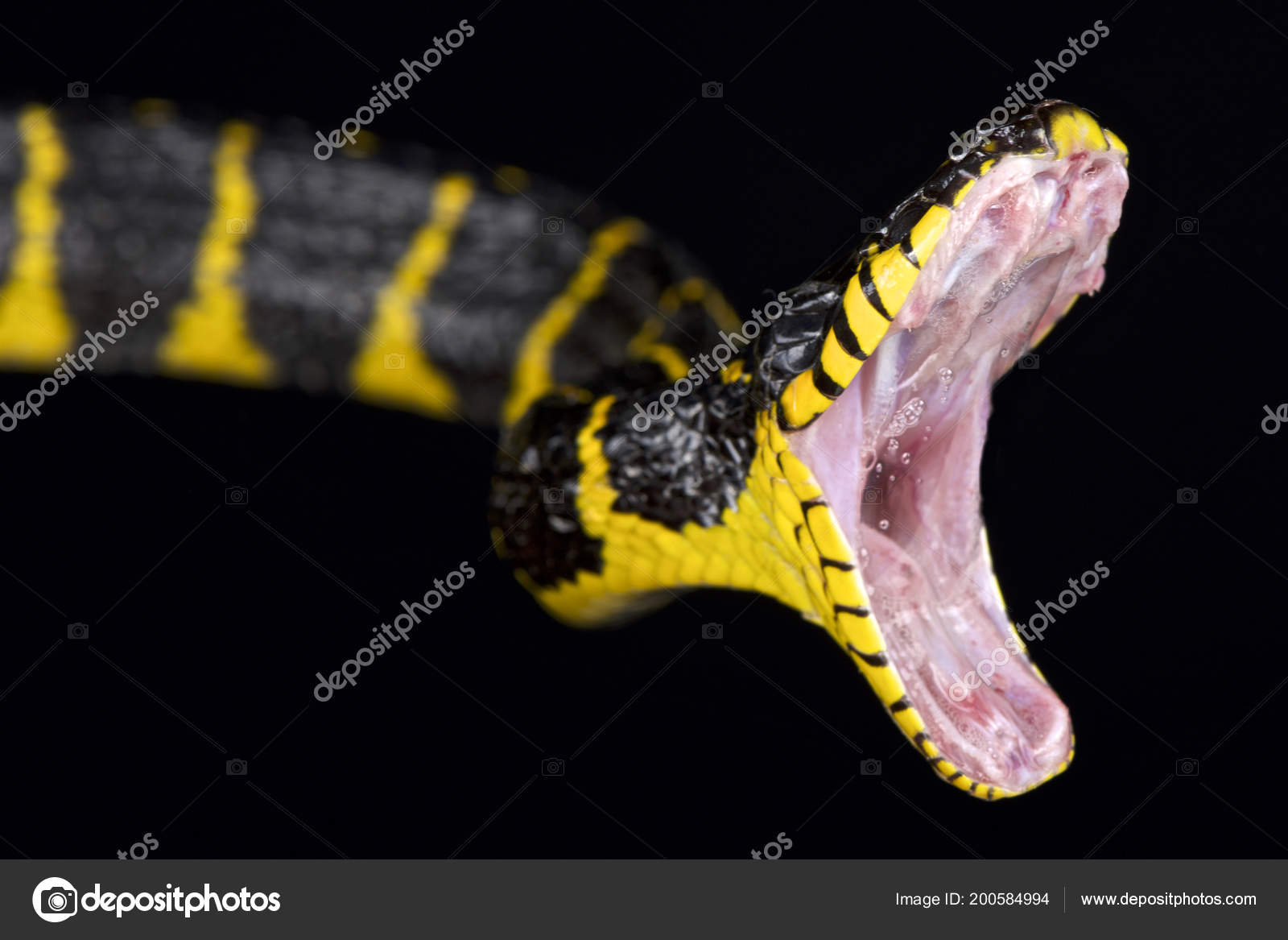 Bokira jinsiy aloqa video