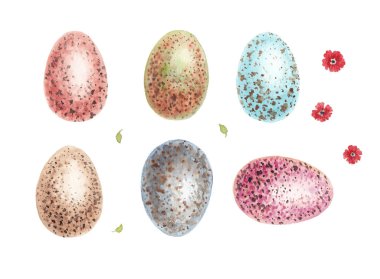 Paskalya tavuk yumurtası. Suluboya el çizilmiş illüstrasyon. Beyaz arka planda yalıtılmış.