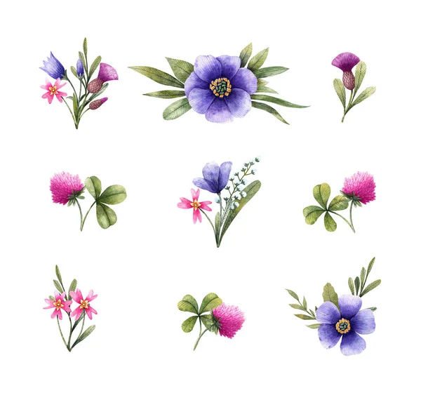 Flores de pradera en ramos: bellflower, cirsium, trébol y otros. Ilustración en acuarela. Elementos florales aislados sobre fondo blanco . —  Fotos de Stock