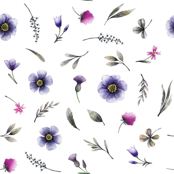 Wild flowers: bellflower, cirsium, clover and other. Watercolor illustration. Floral elements isolated on white background. — Stock Photo, Image