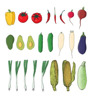 Renkli vektör sebze seti. Salatalık, biber, domates ve daikon turp. Tarım ürün tasarımı için Sebzeler.