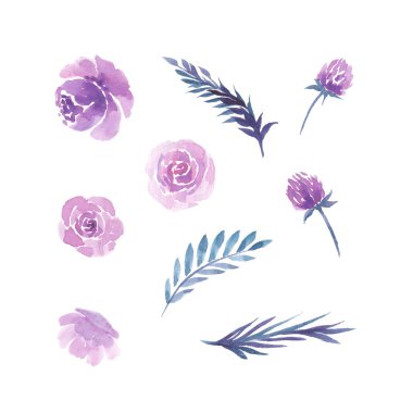 Suluboya çiçekleri. Mor, mor gül, çayır yonca, yaprak ve tomurcukları elemanları ayarlayın. Çiçek illüstrasyon. Düğün veya tebrik için, davet kartı.