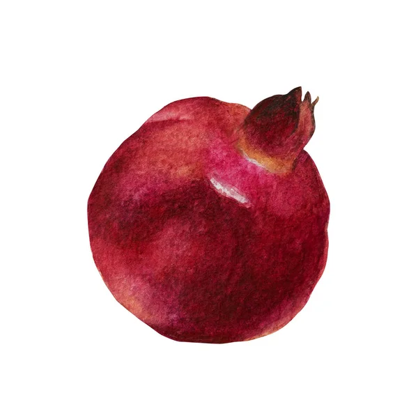 Fruta de granada pintada con acuarela. La ilustración botánica está aislada sobre un fondo blanco . — Foto de Stock