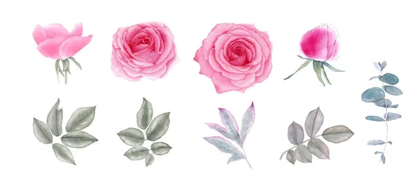 Acquerello set fiori e foglie romantiche, isolato su sfondo bianco. Rose, peonia, eucalipto dollaro d'argento. Per biglietti, inviti per le vacanze: il matrimonio, San Valentino e altro . — Foto Stock