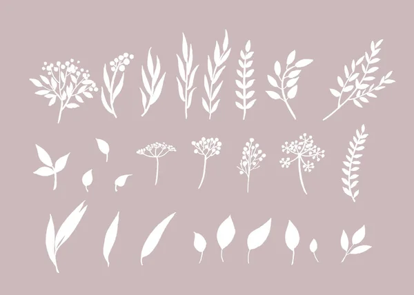 Bloemistische set bloemen en twijgen. Hand getekende illustratie. Wit schilderij van bloemen en twijgen op beige achtergrond. — Stockfoto