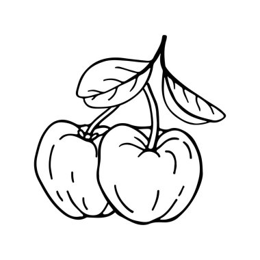 Acerola meyvesi ve yaprakları. Barbados kirazı. El çizimi vektör illüstrasyonu.