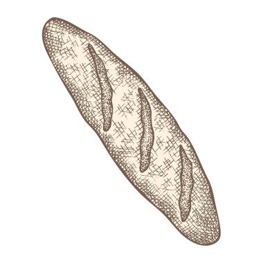 Ekmek. Fırın ürünleri. Vektör el çizimi illüstrasyon. Etiketler, deri yüzücüler ve ambalaj tasarımı için vintage ögeleri.